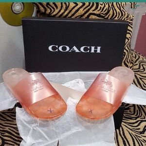 Coach Translucent Pink Slide Sandals